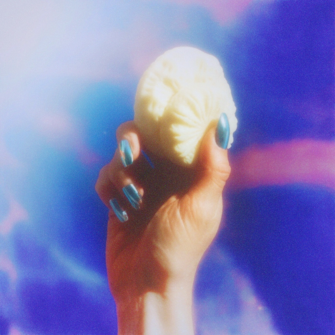 Solid Lotion Bar with Sea Buckthorn Extract